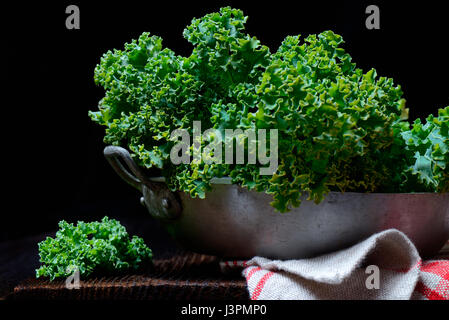 Dans Gruenkohl Gruenkohl Krauskohl Schale,,, Federkohl Winterkohl, acephala, Brassica oleracea var. sabellica Banque D'Images