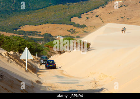 Dunes de Punta Paloma, Tarifa, la plage de Punta Paloma, Province de Cadiz, Costa de la Luz, Andalousie, Espagne Banque D'Images