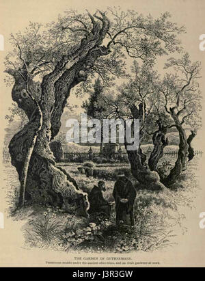 Cette photographie de 1880 du jardin de Gethsémani à Jérusalem capture l'un des sites les plus sacrés du christianisme. L'image reflète la signification historique et spirituelle de l'endroit où Jésus aurait prié avant sa crucifixion. Banque D'Images
