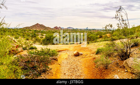 Sentier de randonnée pédestre autour de la buttes de grès rouge de Papago Park dans la ville de Tempe, Arizona, United States Banque D'Images