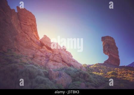 Echium wildpretii .célèbre doigt de Dieu rock dans le parc national du Teide. L'île de Tenerife, Canaries - Espagne Banque D'Images