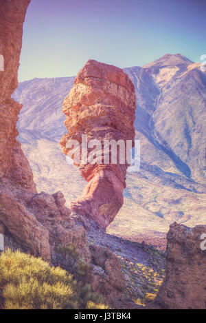 Echium wildpretii .célèbre doigt de Dieu rock dans le parc national du Teide. L'île de Tenerife, Canaries - Espagne Banque D'Images