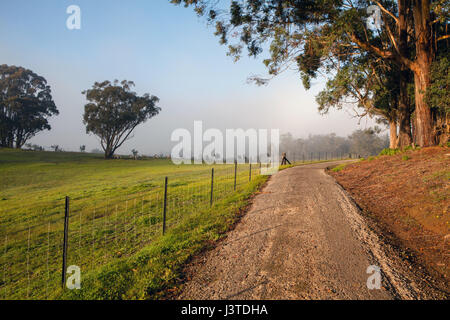 Ferme, Sydney, NSW, Australie Banque D'Images