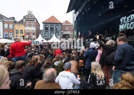 Foule au concert rock le 4 mai pendant le festival de la libération dans la région de Roermond, Pays-Bas Banque D'Images