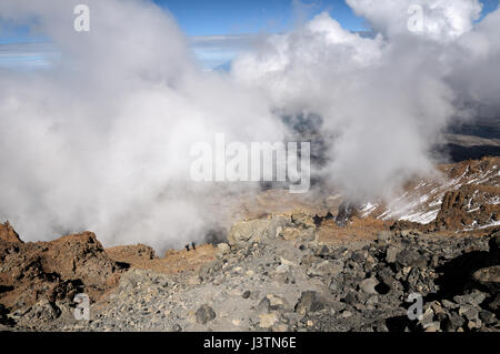 Deux porteurs l'ascension de la violation de l'Ouest, le parc national du Kilimandjaro, Tanzanie Banque D'Images