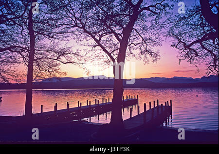 Encore un coucher de soleil et de paix à travers les arbres en silhouette sur le lac Windermere dans le Lake District Banque D'Images