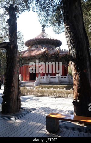 Kiosque dans la cour du palais impérial dans la Cité Interdite, Beijing, Chine, le 23 février 2016. Banque D'Images