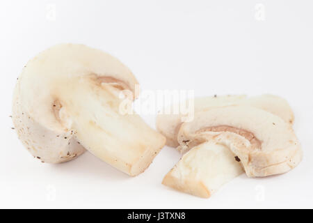 Champignons fraîchement récolté (Agaricus bisporus) isolés dans l'arrière-plan blanc Banque D'Images