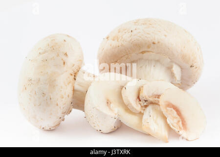 Champignons fraîchement récolté (Agaricus bisporus) isolés dans l'arrière-plan blanc Banque D'Images