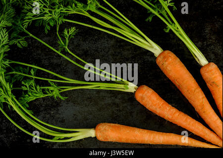 Arrangement de carottes sur fond noir, vue du dessus Banque D'Images