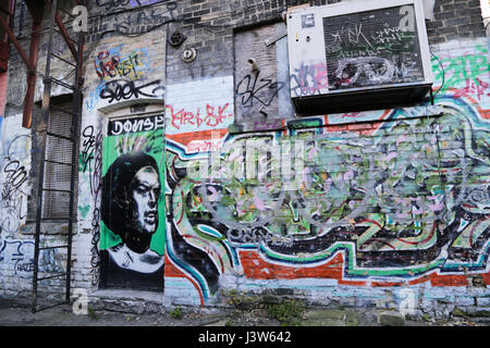 Alley dispose d''une caricature graffiti couvrant une porte, London, Ontario, Canada Banque D'Images