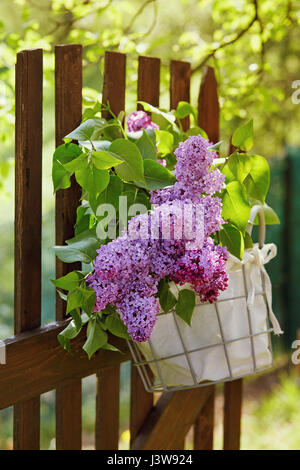 Fleurs lilas dans panier accroché sur jardin clôture en bois. Bouquet de lilas clôture décoration pré attenant. Banque D'Images