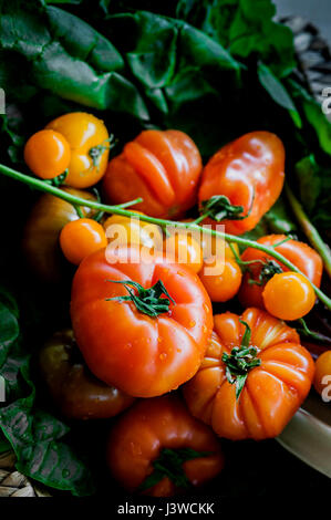 Une vue rapprochée de divers types de fruits tomates ingrédient alimentaire Aliments Naturels Banque D'Images