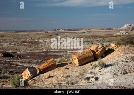 Le bois pétrifié dans la région de la forêt de cristal de Petrified Forest National Park. Banque D'Images