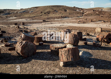 Le bois pétrifié dans la région de la forêt de cristal de Petrified Forest National Park. Banque D'Images