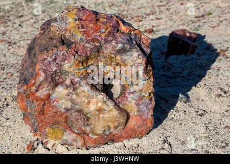 Le bois pétrifié dans la région de la forêt de cristal de Petrified Forest National Park. Banque D'Images