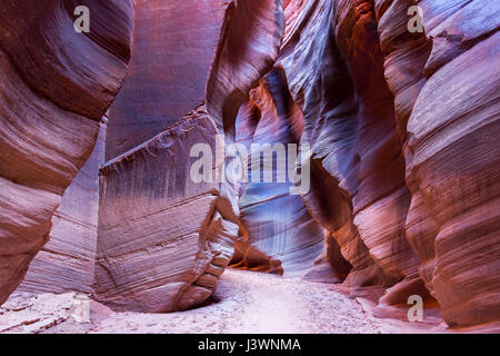 Slot Canyon et parois rocheuses verticales érodées avec sentier de randonnée à Buckskin Gulch, Utah, États-Unis Banque D'Images