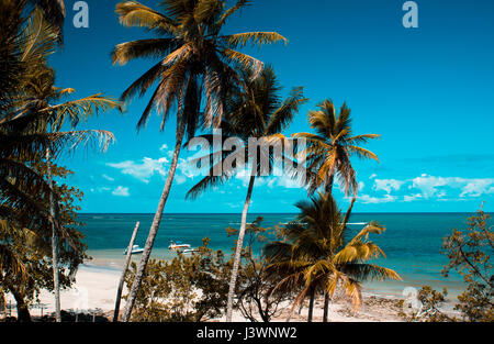 Belle plage exotique tropical de l'île de Boipeba, Brésil Banque D'Images