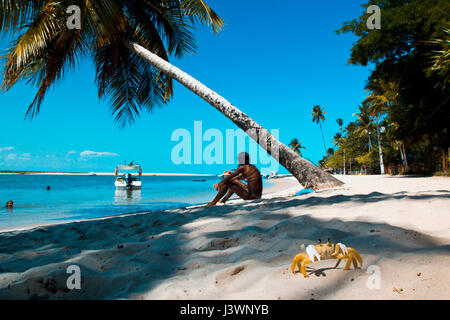 Plage paysage tropical idyllique avec un crabe en premier plan, Bahia, Brésil Banque D'Images