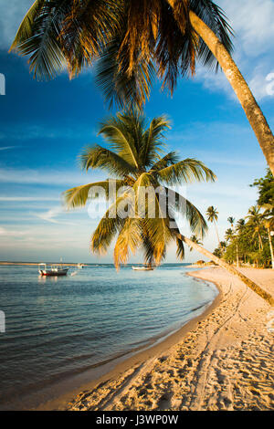 Belle plage exotique tropical de l'île de Boipeba, Brésil Banque D'Images