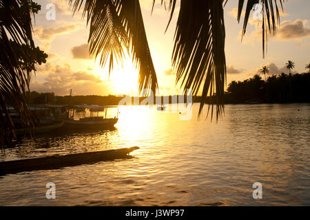 Rivière paysage idyllique sur l'île de Boipeba, Bahia, Brésil Banque D'Images