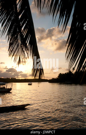 Paradise beach coucher de soleil avec des palmiers tropicaux Banque D'Images