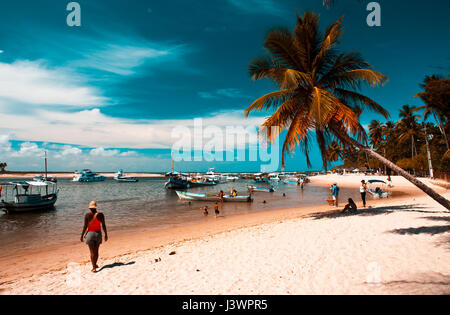 Belle plage paysage de l'île de Boipeba, Bahia, Brésil Banque D'Images