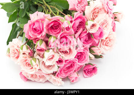 Bouquet de roses roses sur fond blanc. Banque D'Images