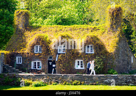 Comté de Conwy, Pays de Galles, Royaume-Uni. 8 mai, 2017. Météo France, soleil sur la côte ouest de la France aujourd'hui, y compris le Nord du Pays de Galles avec ce réchauffement climatique, au moins jusqu'à la fin de la semaine. Un couple de quitter le Tu-Hwnt-I'r Bont Salon de thé après thé du matin avec le café entouré de lierre sur les rives de la rivière, Llanwrst Cowny, au nord du Pays de Galles - Crédit : DGDImages/Alamy Live News Banque D'Images