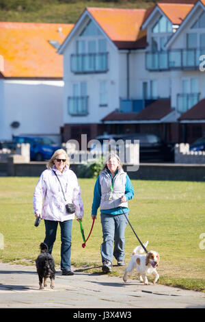 Comté de Conwy, Pays de Galles, Royaume-Uni. 8 mai, 2017. Météo France, soleil sur la côte ouest de la France aujourd'hui, y compris le Nord du Pays de Galles. Les promeneurs de chiens et leurs chiens au soleil sur la promenade de la célèbre ville balnéaire de Deganwy près de Llandudno Crédit : DGDImages/Alamy Live News Banque D'Images