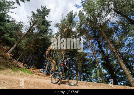 Christchurch, Nouvelle-Zélande. Dec 19, 2016. Christchurch, Nouvelle-Zélande - 19 décembre 2016 - Un vélo de montagne équitation sur un sentier en descente à Christchurch Adventure Park le 19 décembre 2016 à Christchurch, Nouvelle-Zélande. Parc Aventure de Christchurch est le plus grand parc de vélo de montagne dans l'Hémisphère Sud et devrait être une attraction touristique majeure. Il est ouvert au public le 21 décembre. Utilisation dans le monde entier | Credit : dpa/Alamy Live News Banque D'Images