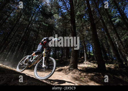 Christchurch, Nouvelle-Zélande. Dec 19, 2016. Christchurch, Nouvelle-Zélande - 19 décembre 2016 - Un vélo de montagne équitation sur un sentier en descente à Christchurch Adventure Park le 19 décembre 2016 à Christchurch, Nouvelle-Zélande. Parc Aventure de Christchurch est le plus grand parc de vélo de montagne dans l'Hémisphère Sud et devrait être une attraction touristique majeure. Il est ouvert au public le 21 décembre. Utilisation dans le monde entier | Credit : dpa/Alamy Live News Banque D'Images