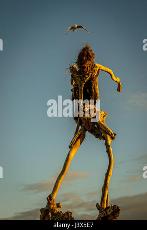 Hokitika, la Nouvelle-Zélande. Feb 9, 2016. Hokitika, New Zealand - 9 février 2016 - Un homme fait de bois inconnu, un reste de la plage de sable et de bois flotté Sculpture événement qui a eu lieu deux semaines plus tôt, est vu pendant le coucher du soleil le 9 février 2016 à Hokitika, la Nouvelle-Zélande. Utilisation dans le monde entier | Credit : dpa/Alamy Live News Banque D'Images