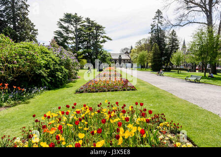 Christchurch, Nouvelle-Zélande. 19 Oct, 2016. Christchurch, Nouvelle-Zélande - 19 octobre 2016 - Fleurs de Printemps sont vus en face de la Canterbury Museum dans le Jardin botanique de Christchurch le 19 octobre 2016 à Christchurch, Nouvelle-Zélande. Utilisation dans le monde entier | Credit : dpa/Alamy Live News Banque D'Images