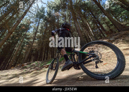 Christchurch, Nouvelle-Zélande. Dec 19, 2016. Christchurch, Nouvelle-Zélande - 19 décembre 2016 - Un vélo de montagne équitation sur un sentier en descente à Christchurch Adventure Park le 19 décembre 2016 à Christchurch, Nouvelle-Zélande. Parc Aventure de Christchurch est le plus grand parc de vélo de montagne dans l'Hémisphère Sud et devrait être une attraction touristique majeure. Il est ouvert au public le 21 décembre. Utilisation dans le monde entier | Credit : dpa/Alamy Live News Banque D'Images