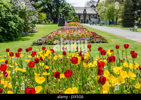 Christchurch, Nouvelle-Zélande. 19 Oct, 2016. Christchurch, Nouvelle-Zélande - 19 octobre 2016 - Fleurs de Printemps sont vus en face de la Canterbury Museum dans le Jardin botanique de Christchurch le 19 octobre 2016 à Christchurch, Nouvelle-Zélande. Utilisation dans le monde entier | Credit : dpa/Alamy Live News Banque D'Images