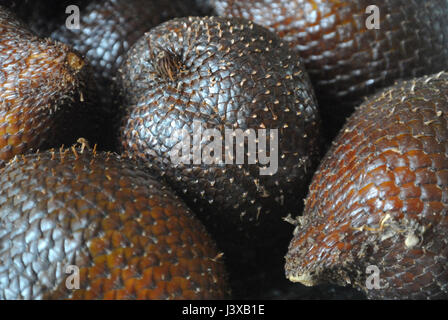 Serpent Salak, ou des fruits, dans une pile montrant la peau écailleuse qui lui donne son nom. Banque D'Images