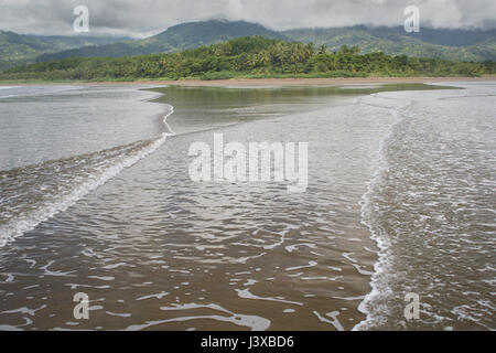 Rouler dans les vagues sur une plage abandonnée au Costa Rica, avec rainforest en arrière-plan. (Parque Nacional Marino Ballena). Banque D'Images