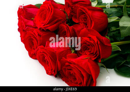Bouquet de 11 roses rouges sur fond blanc Photo Stock - Alamy