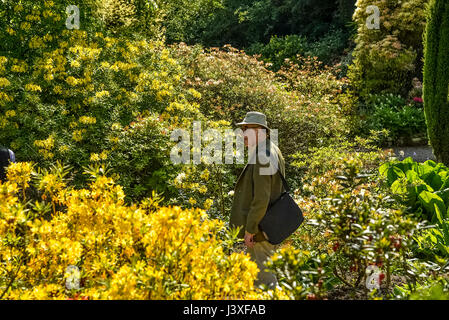 Le vicomte Ashbrook dans son jardin à Arley HAll près de Warrington. Banque D'Images