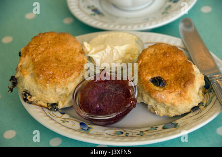 Un thé à la crème accompagné de scones, confiture et crème Banque D'Images