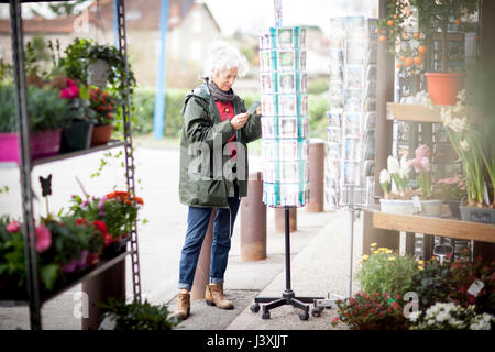 Femme à la recherche de cartes postales, Bruniquel, France Banque D'Images