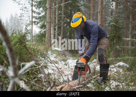 Le sciage de l'enregistreur de arbre, Tammela, Forssa, Finlande Banque D'Images