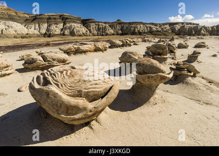 Région sauvage de Bisti ou de-Na-Zin ou terrains de badoms présentant des formations rocheuses uniques formées par l'érosion, Nouveau-Mexique, États-Unis Banque D'Images