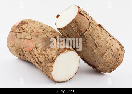 Le manioc (Manihot esculenta) isolés dans l'arrière-plan blanc Banque D'Images