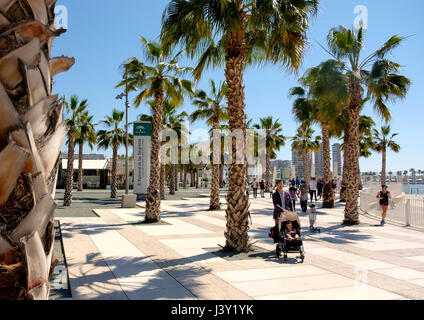 Paseo del muelle Uno Málaga Banque D'Images