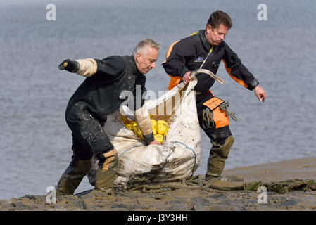 Les hommes en combinaison organisent des canards en plastique jaune « caoutchouc » lors d'une course de canards dans la rivière Blackwater, Maldon, Essex. Sac plein de canards Banque D'Images