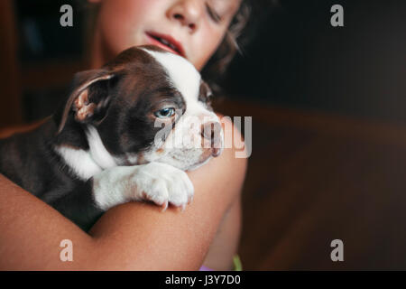 Girl hugging Boston Terrier puppy Banque D'Images