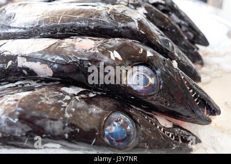 Le poisson frais du marché de Madère Banque D'Images