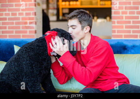 Teenage boy playing with pet dog on sofa Banque D'Images